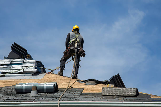 Professional Storm Damage Roof Repair technician working in Seaton, IL